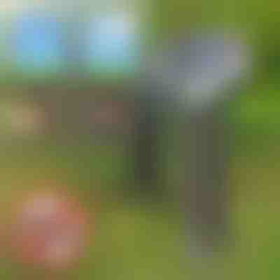 Napelemes kártevőriasztó | SOLGUARD