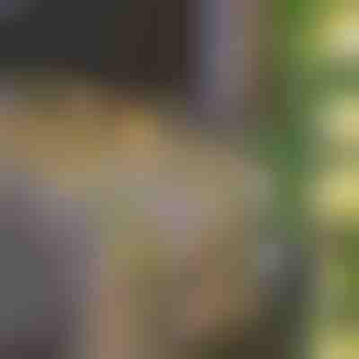 Napelemes Tündérfények Mesterséges Borostyánlevéllel (5 m) | LEAFGLO