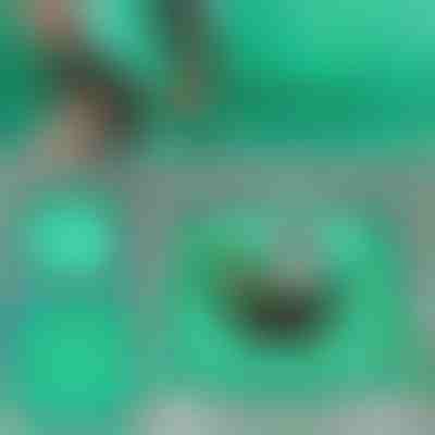 Szőnyeg növények átültetésének | FLORAMAT