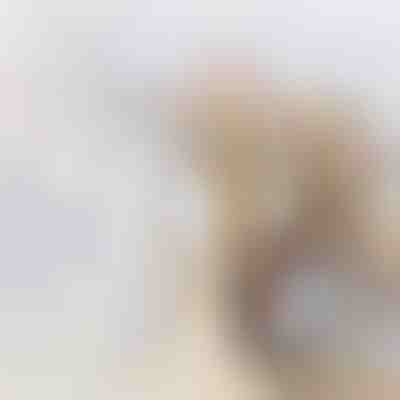 Élelmiszer-tároló tartály | DIVERINO