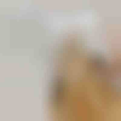 Újratölthető gőzpermetező kisállat kefe vedléshez | GROOMSY